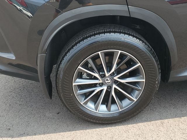 2025 Lexus NX 350 Base