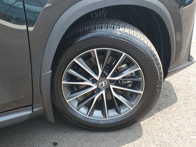 2025 Lexus NX 350 Base