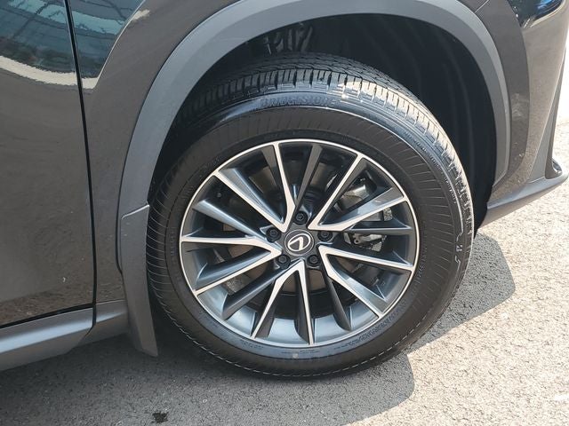 2025 Lexus NX 350 Base