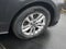 2025 Toyota Sienna Limited 7 Passenger