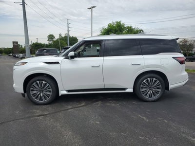 2026 INFINITI QX80 LUXE